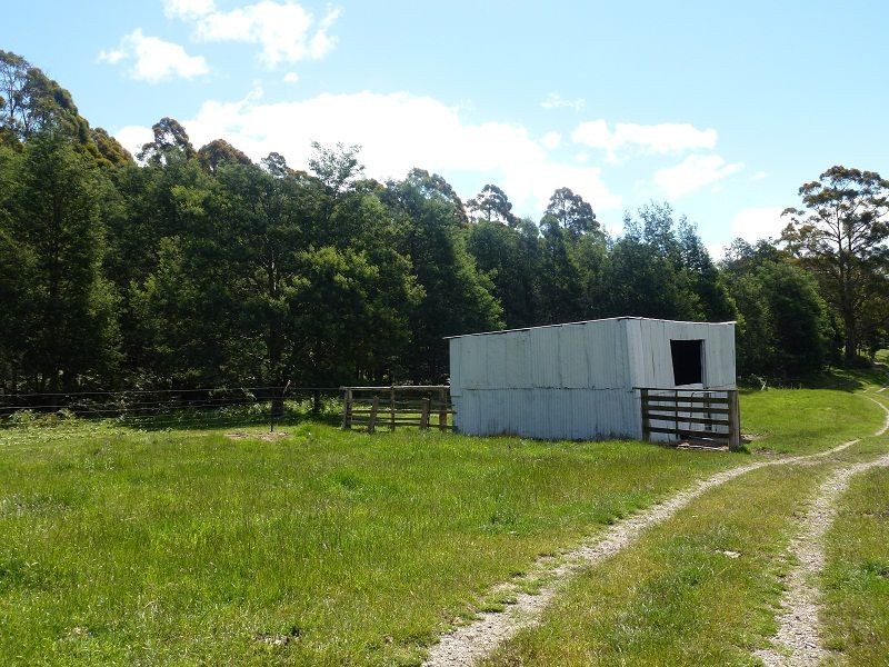 84 Coates Hill Road, Parkham TAS 7304
