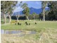 171 Jones Street, Chudleigh TAS 7304