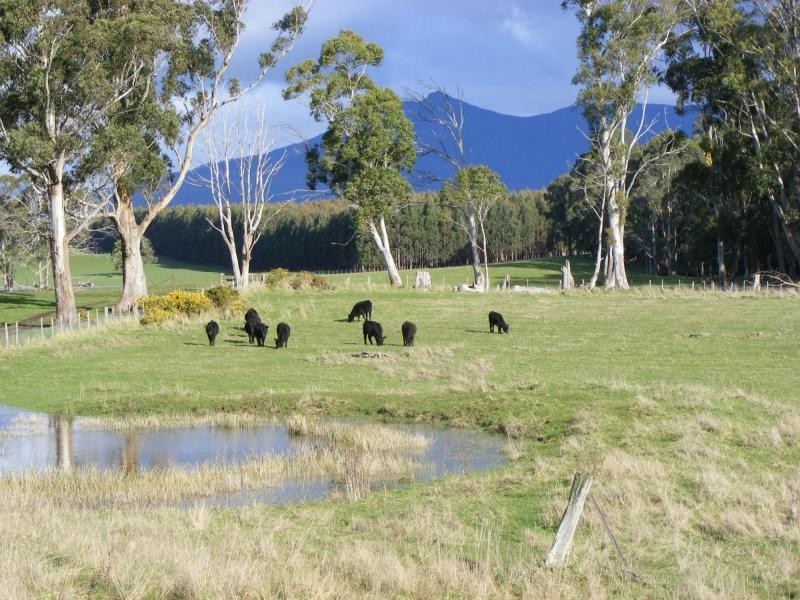 171 Jones Street, Chudleigh TAS 7304