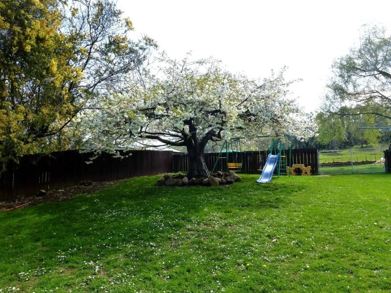 70 Pioneer Drive, Mole Creek TAS 7304