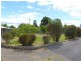 66 Meander Valley Road, Westbury TAS 7303