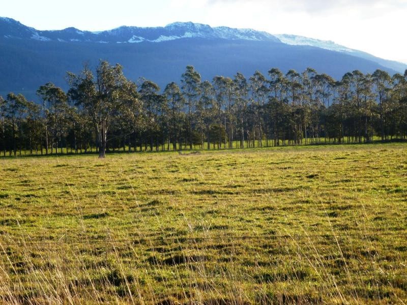 Dairy Plains TAS 7304