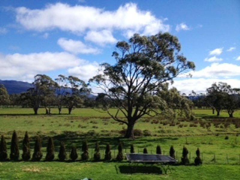 Dairy Plains TAS 7304