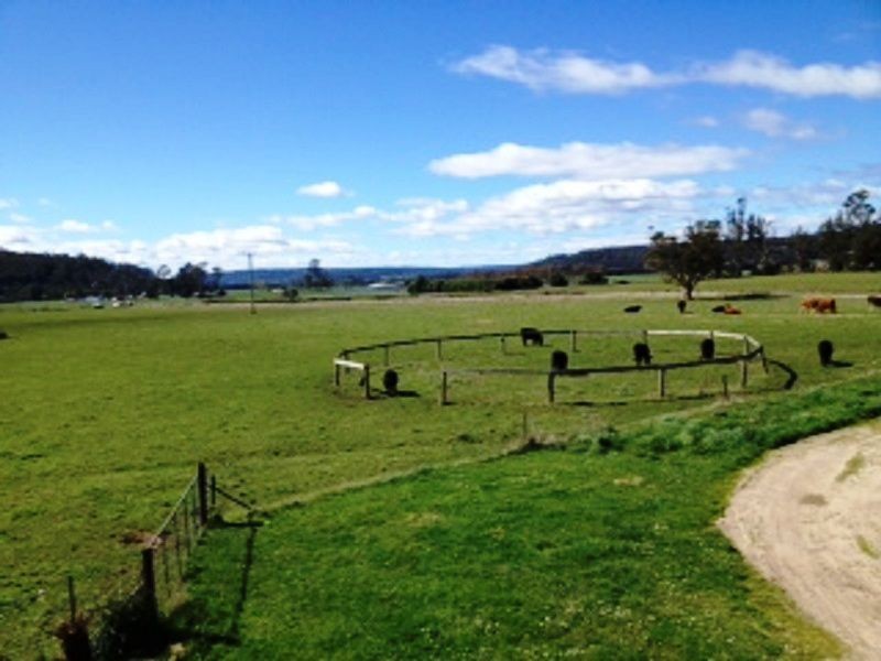 Dairy Plains TAS 7304