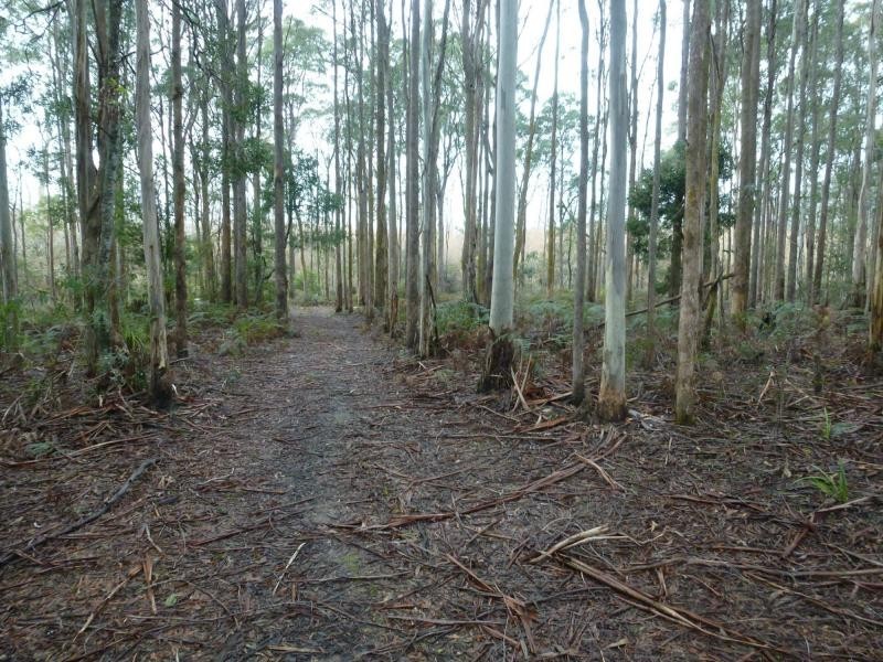 L3 Montana Road, Red Hills TAS 7304