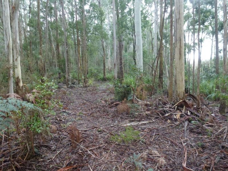 L3 Montana Road, Red Hills TAS 7304