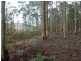 L3 Montana Road, Red Hills TAS 7304