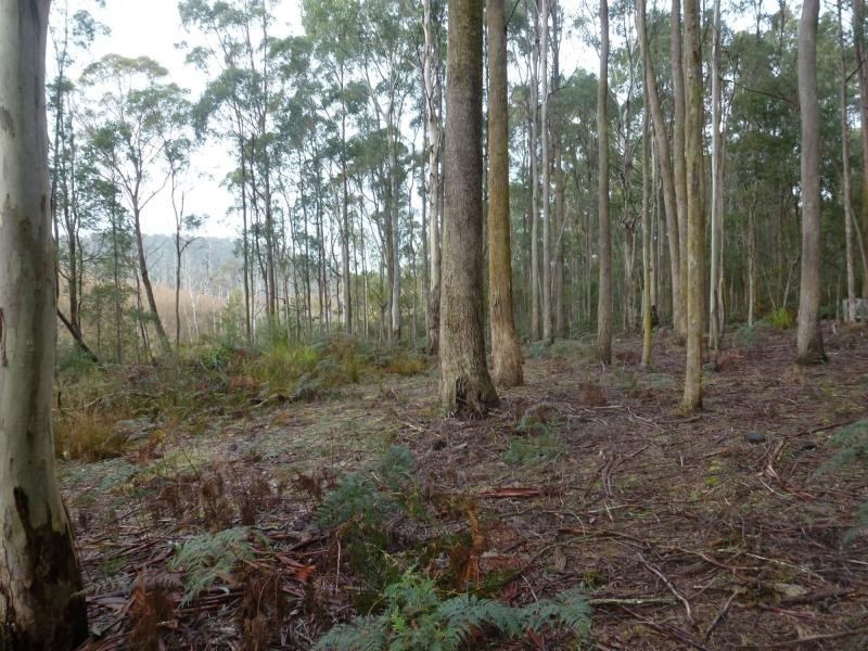 L3 Montana Road, Red Hills TAS 7304
