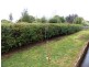 9 B Gleadow Street, Deloraine TAS 7304