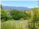 78 Greens Road, Mole Creek TAS 7304