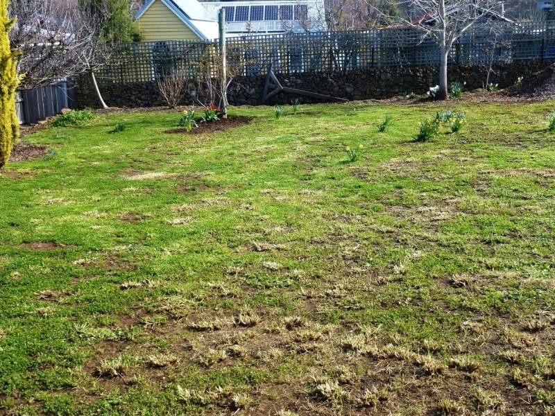 53 A West Barrack Street, Deloraine TAS 7304