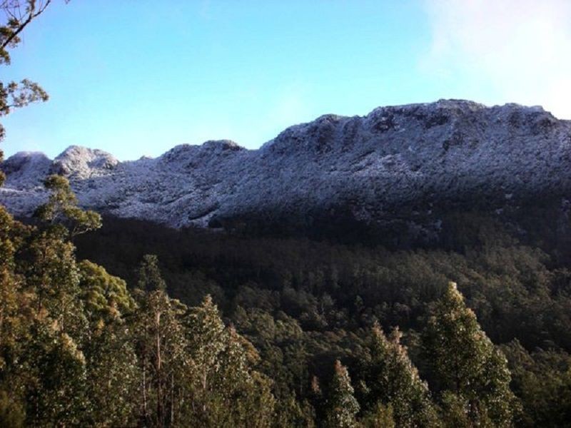 Golden Valley TAS 7304