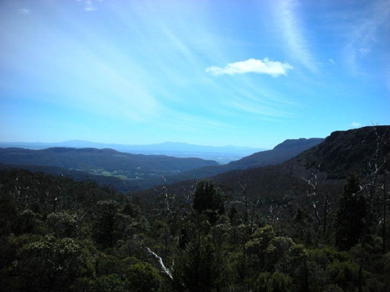 Golden Valley TAS 7304