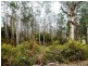 L2 Pumicestone Road, Deloraine TAS 7304