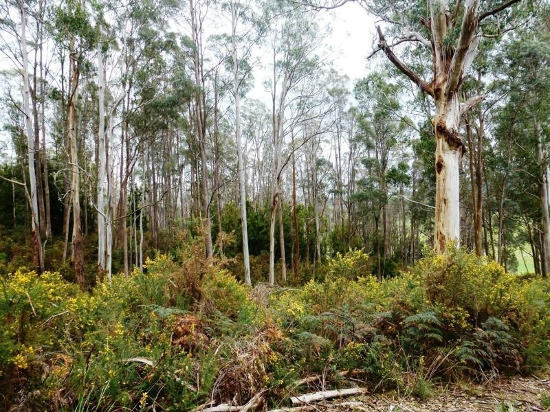 L2 Pumicestone Road, Deloraine TAS 7304