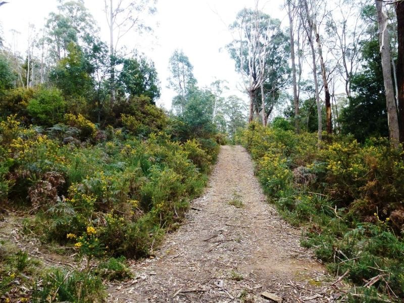 L2 Pumicestone Road, Deloraine TAS 7304