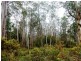 L2 Pumicestone Road, Deloraine TAS 7304