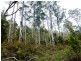 L2 Pumicestone Road, Deloraine TAS 7304