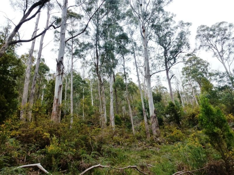 L2 Pumicestone Road, Deloraine TAS 7304