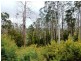 L2 Pumicestone Road, Deloraine TAS 7304