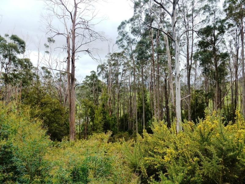 L2 Pumicestone Road, Deloraine TAS 7304