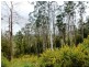 L2 Pumicestone Road, Deloraine TAS 7304