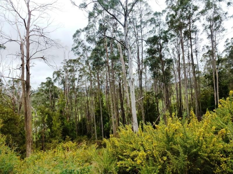L2 Pumicestone Road, Deloraine TAS 7304