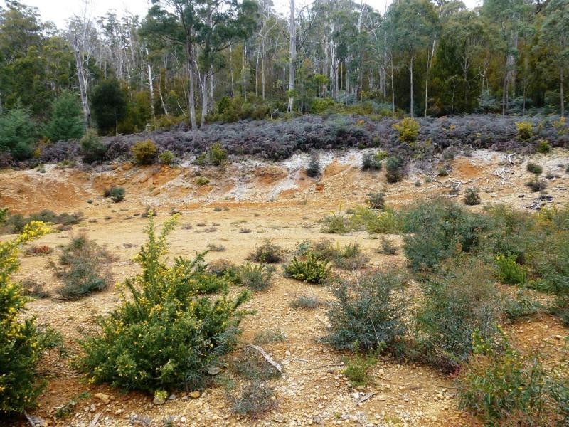 L2 Pumicestone Road, Deloraine TAS 7304