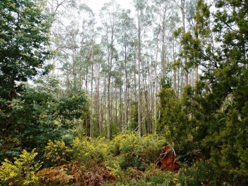 L2 Pumicestone Road, Deloraine TAS 7304