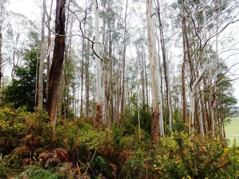 L2 Pumicestone Road, Deloraine TAS 7304