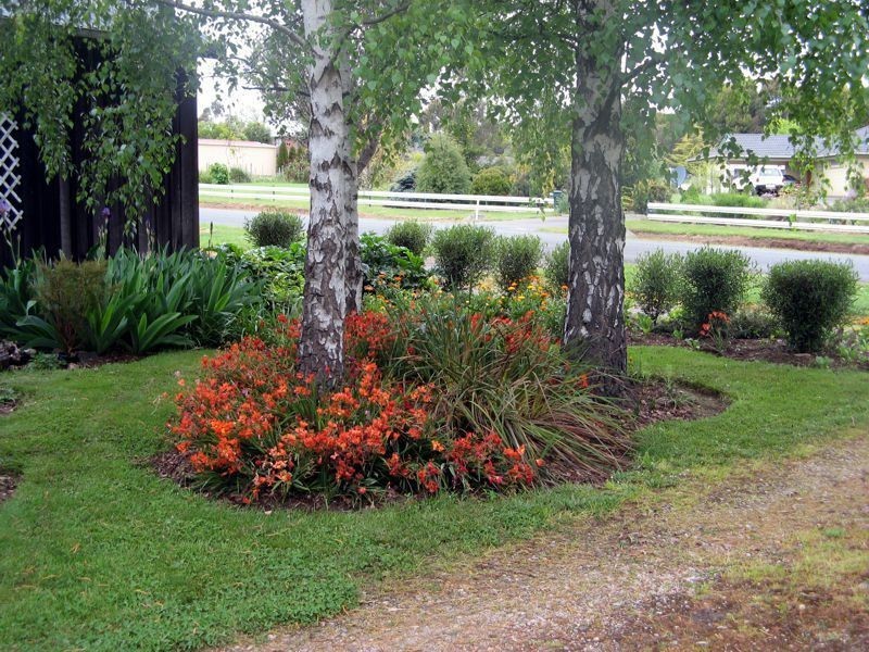 35 Adelaide Street, Westbury TAS 7303