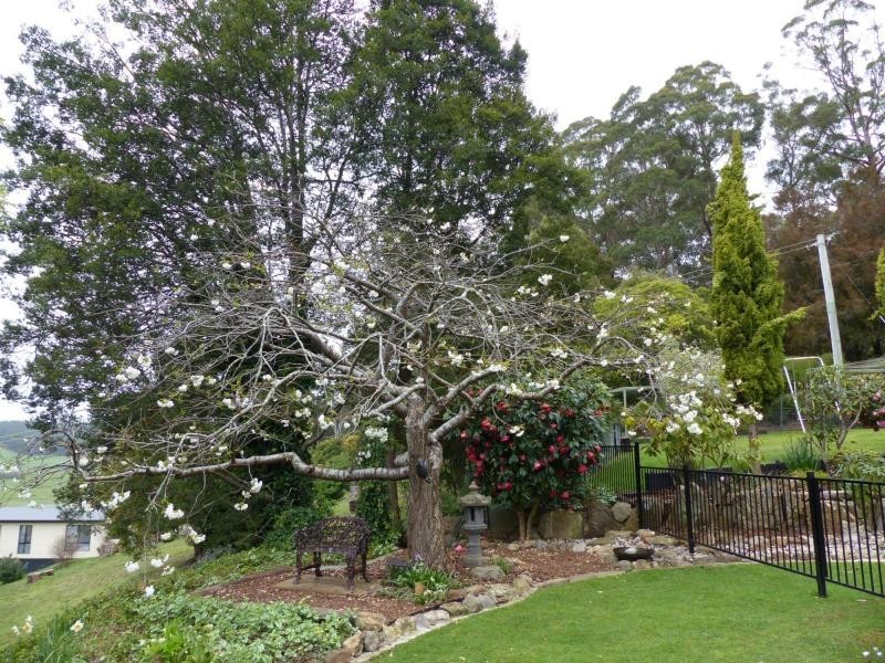14 Barra Road, Deloraine TAS 7304