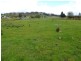Lot 1 Archer Street, Chudleigh TAS 7304