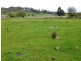 Lot 1 Archer Street, Chudleigh TAS 7304