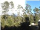 1187 Bogan Road, Golden Valley TAS 7304