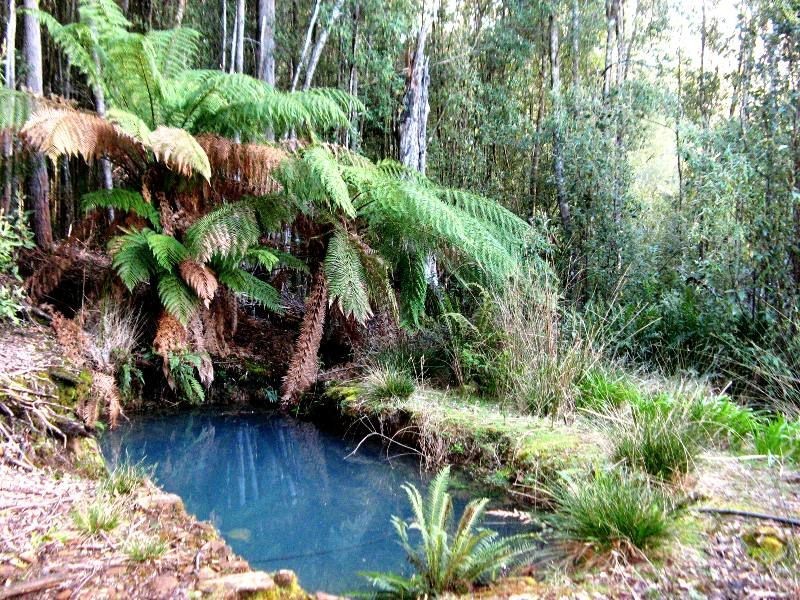 1187 Bogan Road, Golden Valley TAS 7304