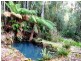 1187 Bogan Road, Golden Valley TAS 7304