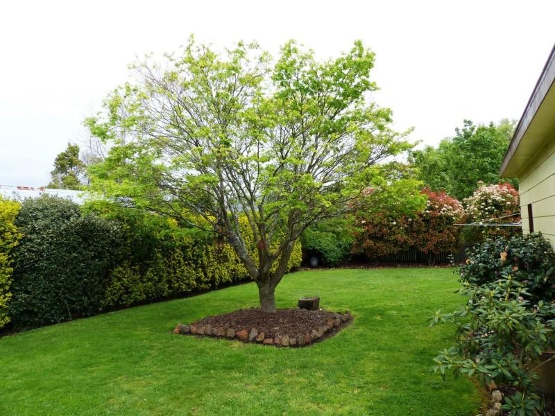 58 William Street, Westbury TAS 7303