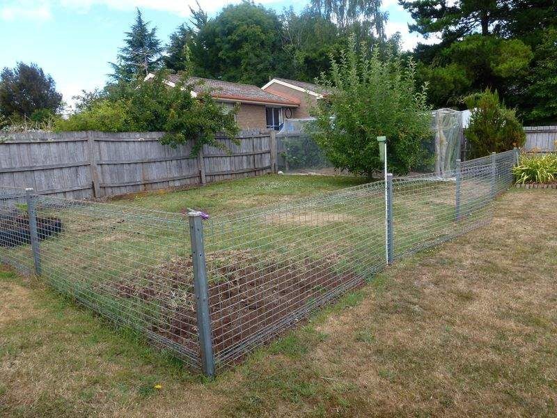 13 Grigg Street, Deloraine TAS 7304