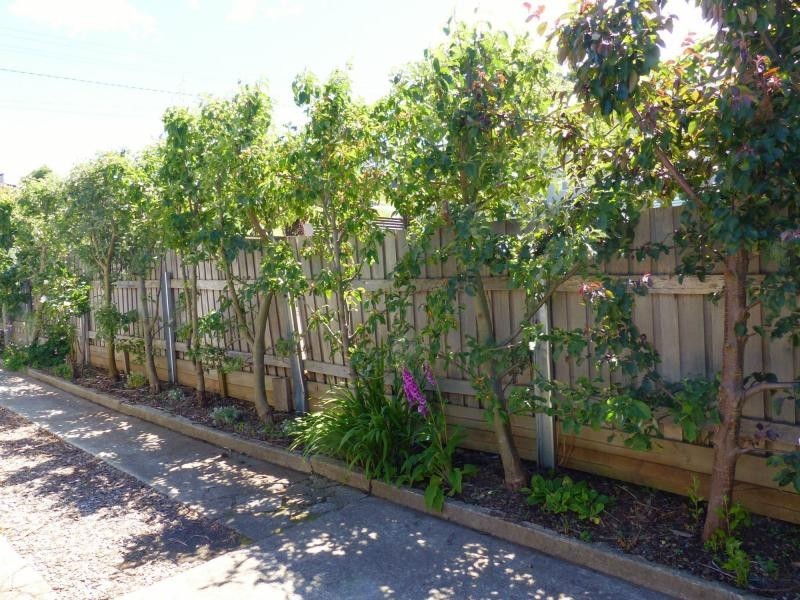 12 Beefeater Street, Deloraine TAS 7304