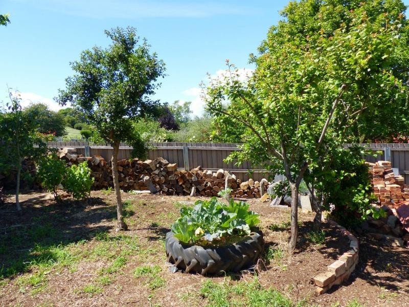 12 Beefeater Street, Deloraine TAS 7304