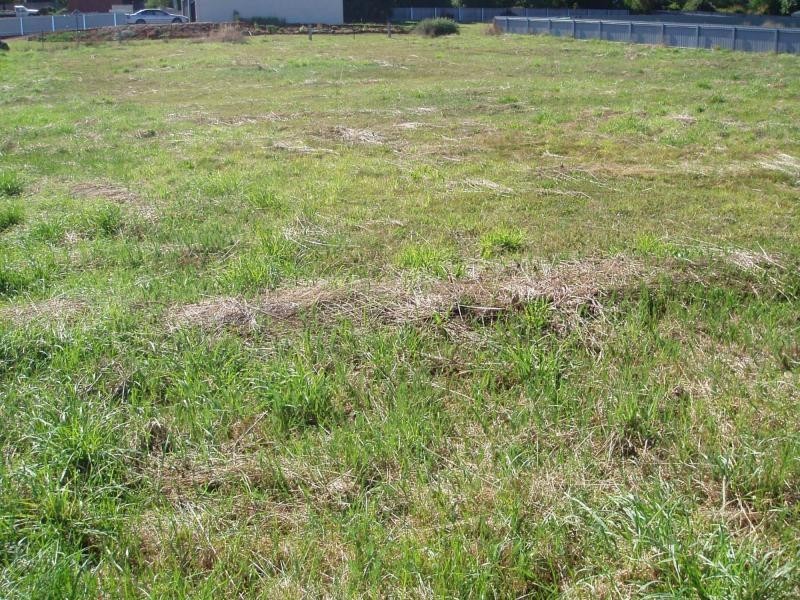 L4 East Goderich Street, Deloraine TAS 7304