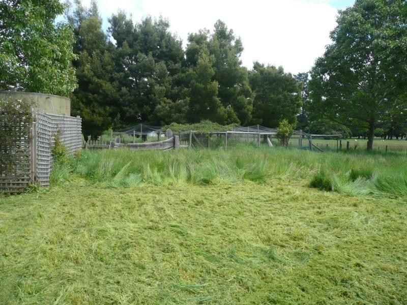 871 Weegena Road, Weegena TAS 7304