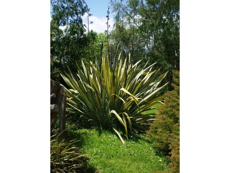 153 Main Road, Meander TAS 7304