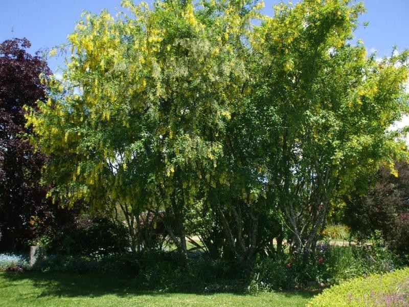 153 Main Road, Meander TAS 7304