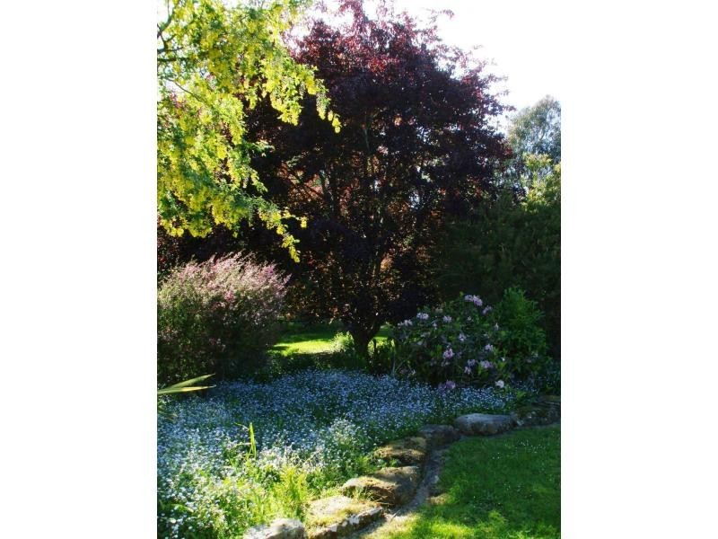 153 Main Road, Meander TAS 7304