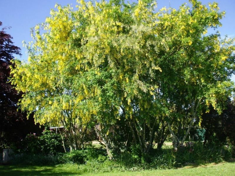 153 Main Road, Meander TAS 7304