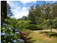 760 Western Creek Road, Western Creek TAS 7304