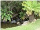 760 Western Creek Road, Western Creek TAS 7304
