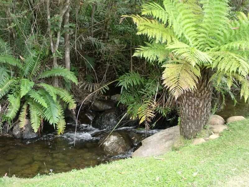 760 Western Creek Road, Western Creek TAS 7304